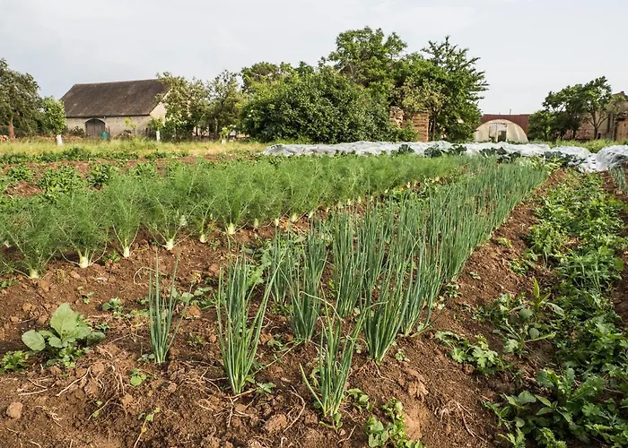 Appartement Na Dobro-družném Statku Beharovice